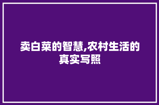 卖白菜的智慧,农村生活的真实写照