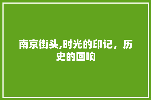 南京街头,时光的印记，历史的回响