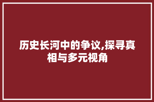 历史长河中的争议,探寻真相与多元视角