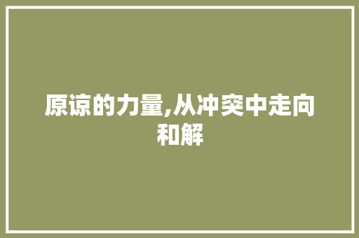 原谅的力量,从冲突中走向和解