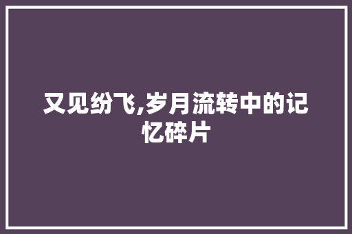 又见纷飞,岁月流转中的记忆碎片