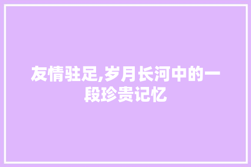 友情驻足,岁月长河中的一段珍贵记忆