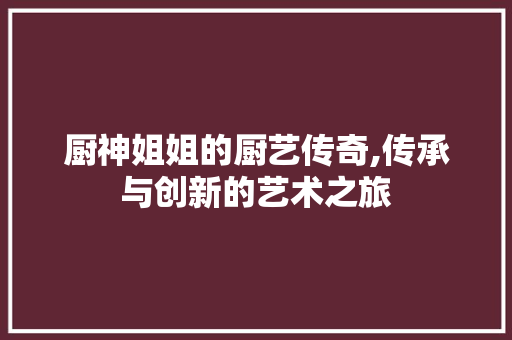 厨神姐姐的厨艺传奇,传承与创新的艺术之旅