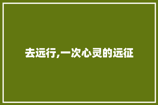 去远行,一次心灵的远征