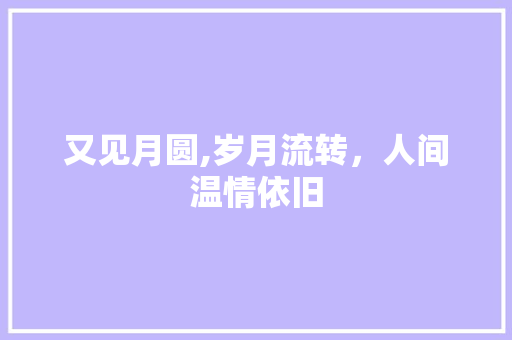 又见月圆,岁月流转，人间温情依旧