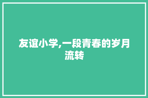 友谊小学,一段青春的岁月流转