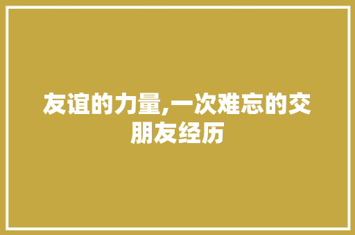 友谊的力量,一次难忘的交朋友经历