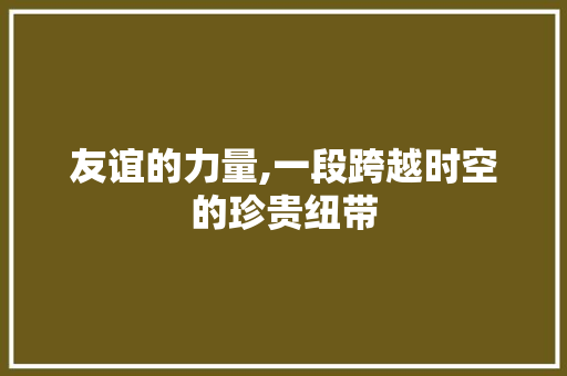 友谊的力量,一段跨越时空的珍贵纽带