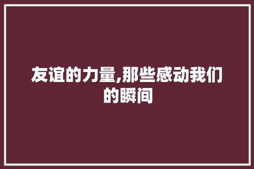 友谊的力量,那些感动我们的瞬间