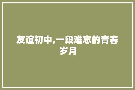 友谊初中,一段难忘的青春岁月