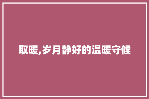 取暖,岁月静好的温暖守候