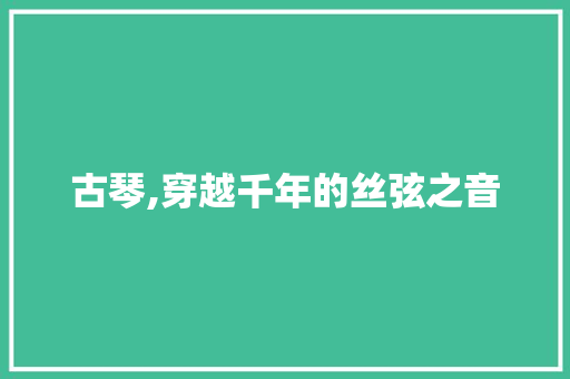 古琴,穿越千年的丝弦之音