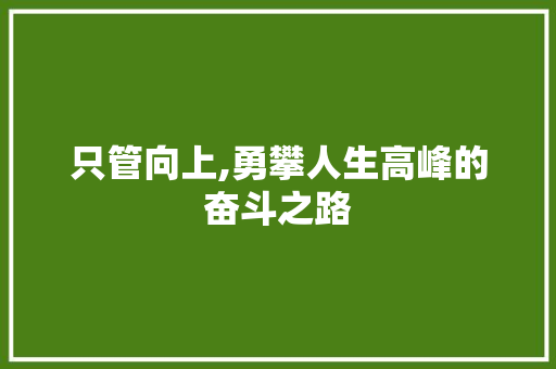 只管向上,勇攀人生高峰的奋斗之路