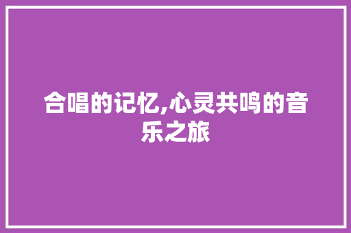 合唱的记忆,心灵共鸣的音乐之旅