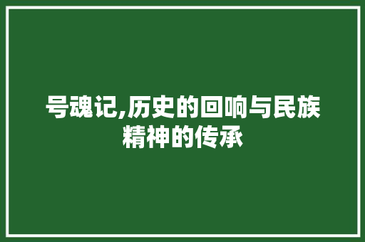 号魂记,历史的回响与民族精神的传承