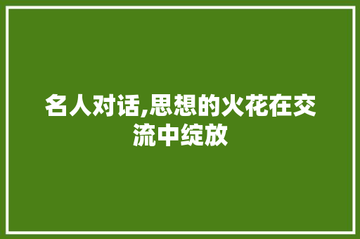 名人对话,思想的火花在交流中绽放