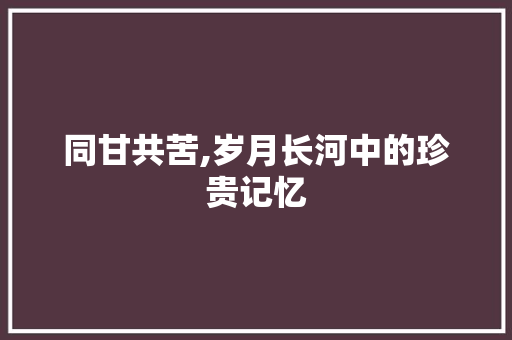 同甘共苦,岁月长河中的珍贵记忆