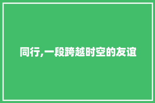 同行,一段跨越时空的友谊