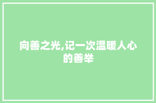 向善之光,记一次温暖人心的善举