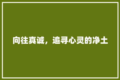 向往真诚，追寻心灵的净土