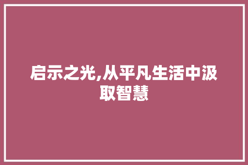 启示之光,从平凡生活中汲取智慧