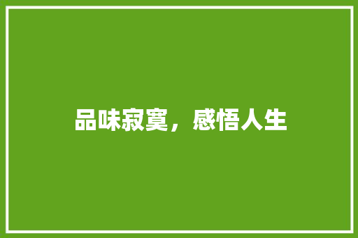 品味寂寞，感悟人生