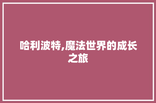 哈利波特,魔法世界的成长之旅