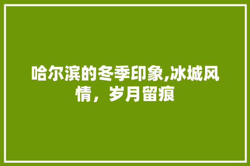 哈尔滨的冬季印象,冰城风情，岁月留痕