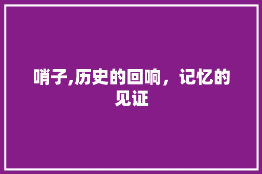 哨子,历史的回响，记忆的见证