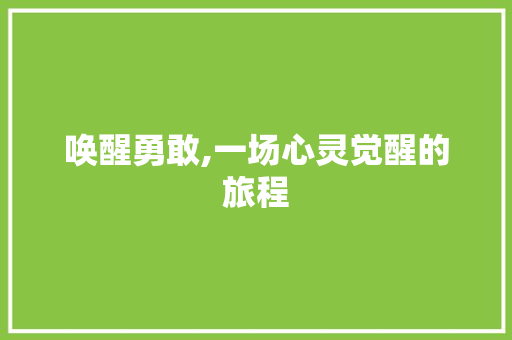 唤醒勇敢,一场心灵觉醒的旅程