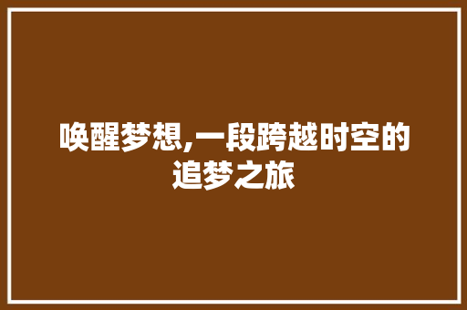 唤醒梦想,一段跨越时空的追梦之旅