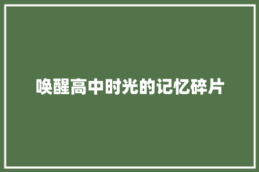 唤醒高中时光的记忆碎片