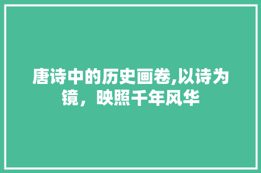 唐诗中的历史画卷,以诗为镜，映照千年风华