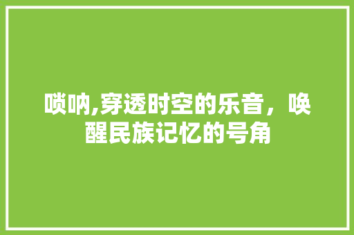 唢呐,穿透时空的乐音，唤醒民族记忆的号角