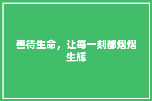 善待生命，让每一刻都熠熠生辉