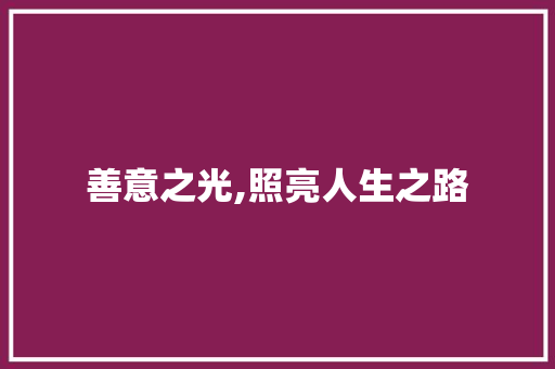 善意之光,照亮人生之路 工作总结范文