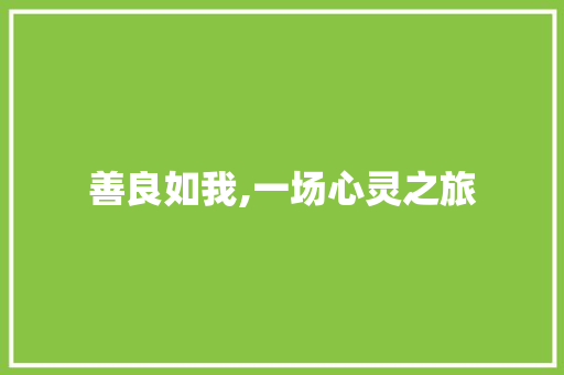 善良如我,一场心灵之旅