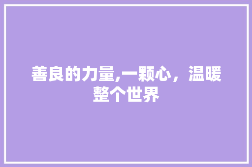 善良的力量,一颗心，温暖整个世界