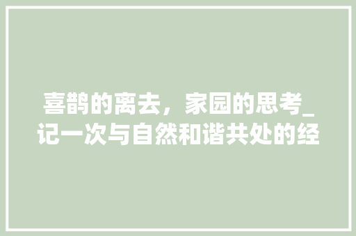 喜鹊的离去，家园的思考_记一次与自然和谐共处的经历