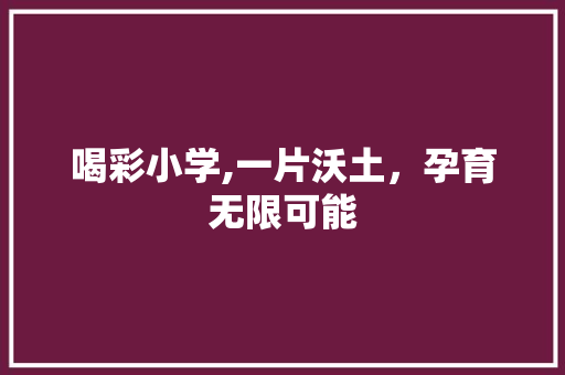 喝彩小学,一片沃土，孕育无限可能