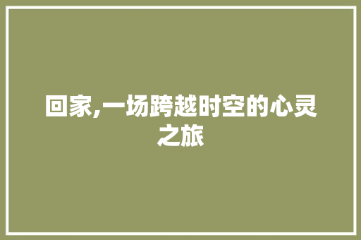 回家,一场跨越时空的心灵之旅