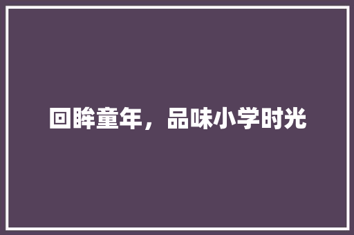 回眸童年，品味小学时光