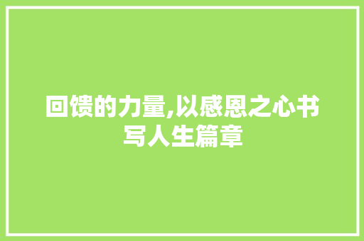 回馈的力量,以感恩之心书写人生篇章