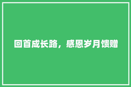 回首成长路，感恩岁月馈赠