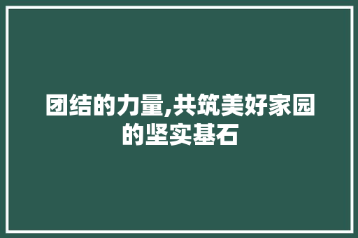 团结的力量,共筑美好家园的坚实基石