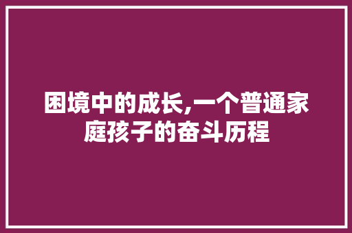 困境中的成长,一个普通家庭孩子的奋斗历程