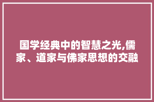 国学经典中的智慧之光,儒家、道家与佛家思想的交融与传承