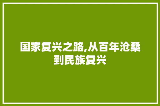 国家复兴之路,从百年沧桑到民族复兴