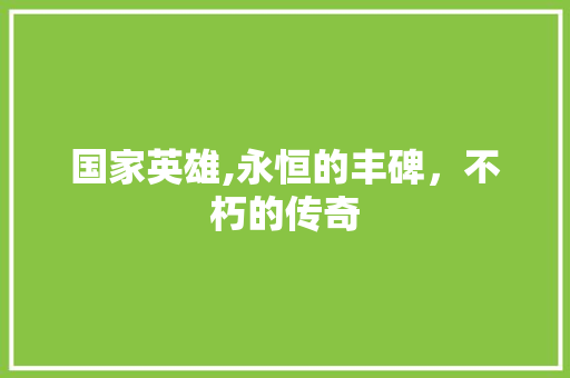 国家英雄,永恒的丰碑，不朽的传奇