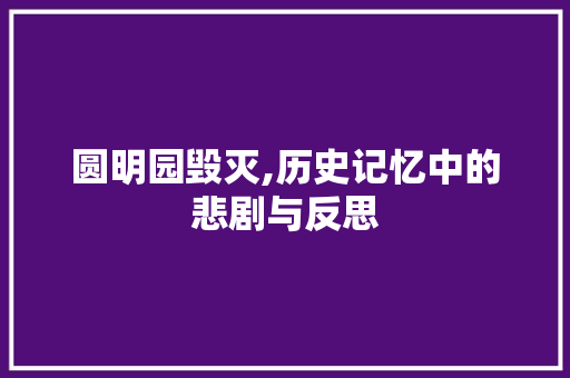 圆明园毁灭,历史记忆中的悲剧与反思